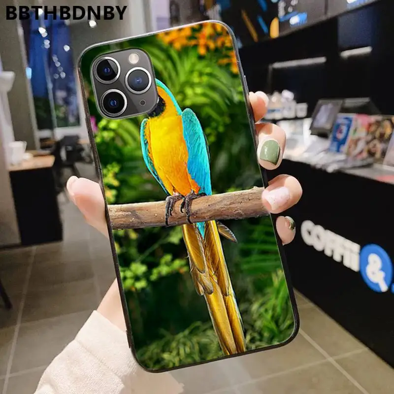 

Flying animals Macaw Phone Case for iPhone 11 12 mini pro XS MAX 8 7 6 6S Plus X 5S SE 2020 XR