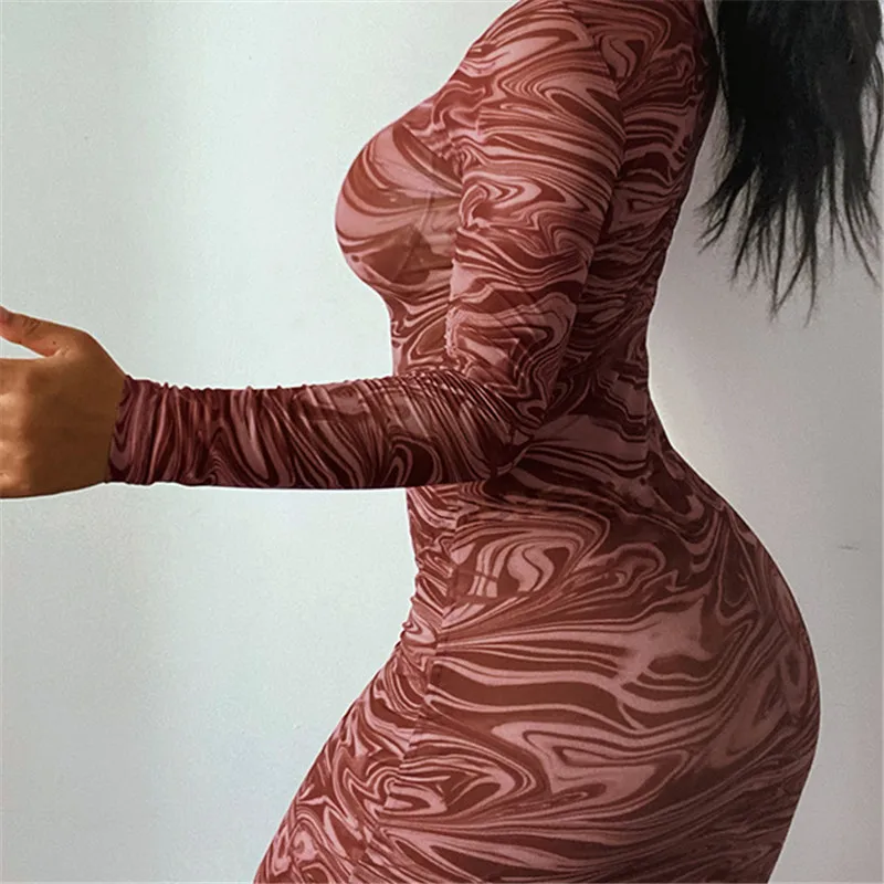 

O Neck Sexy High Street Slim Dress Vestidos Fall Clothes Fashion Paisley Printing Mesh Transparent Women Full-Sleeved Midi Dress