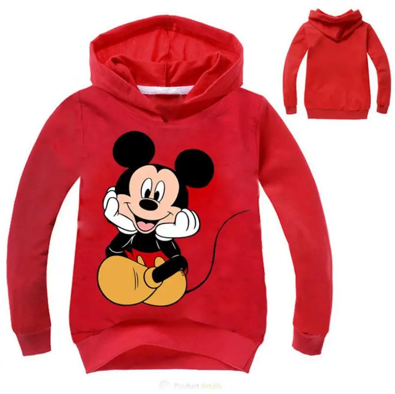 Sudaderas Ninos/Новинка года; ветровка для девочек; сезон весна-осень верхняя одежда с капюшоном и цветочной вышивкой для маленьких детей; пальто; куртка; одежда