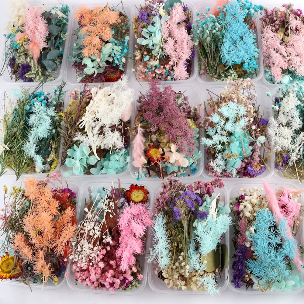 

1box Dried Flowers Natural For Decor Jewelry Making Craft Diy Accessories Dry Plants Aromatherapy Candle Resin