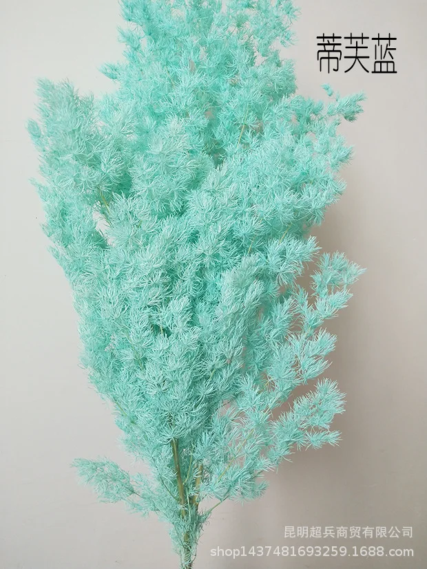 

Eternal Flower Penglai Pine Dried Flower Christmas Pine Vase Bouquet with Flowers without shipping 10.21