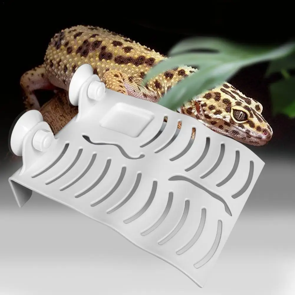 Платформа для сушки черепахи большая платформа скалолазания палочка