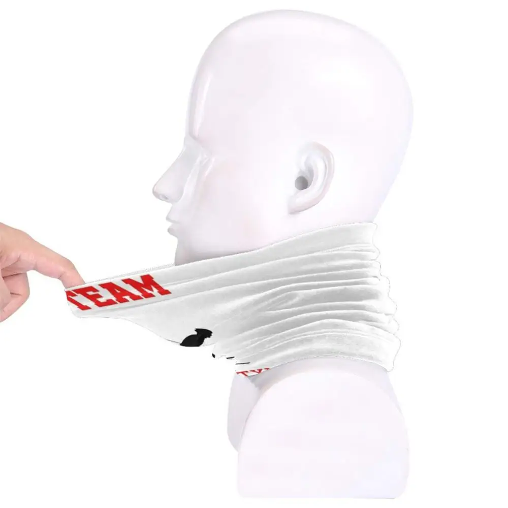 Командные австрийские лыжные зимние спортивные Подарочные Головные уборы для