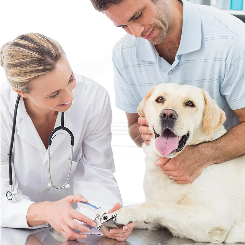 MAIYUE профессиональные кусачки для когтей питомцев кошка собачья из нержавеющей