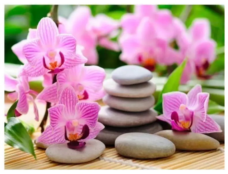 full square diamond painting orchid stone rhinestone embroidery picture flowers dotz toys mosaic art wall sticker decor | Дом и сад