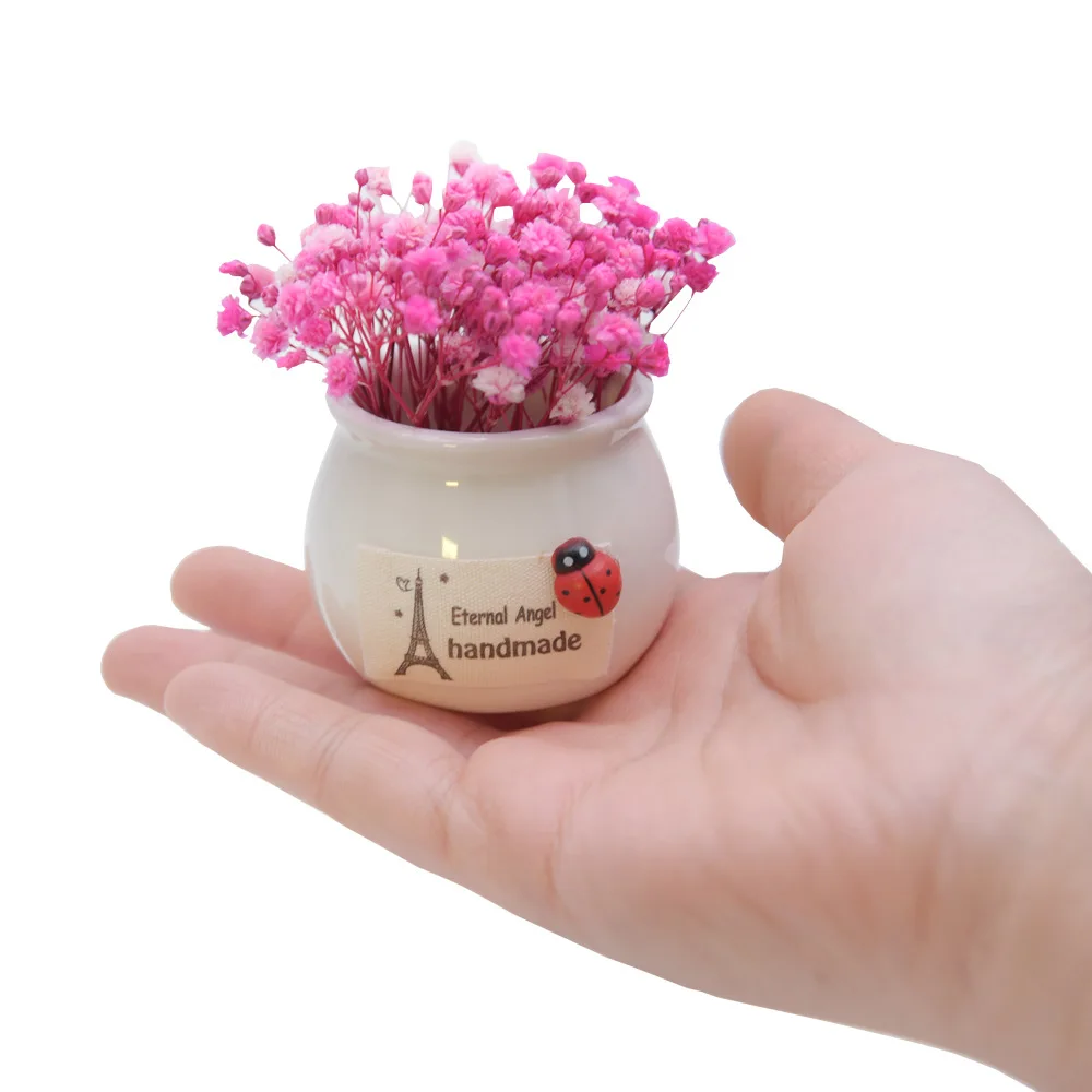 Eternal Life Flower полный маленьких цветов мини бутылка домашняя машина горшечная