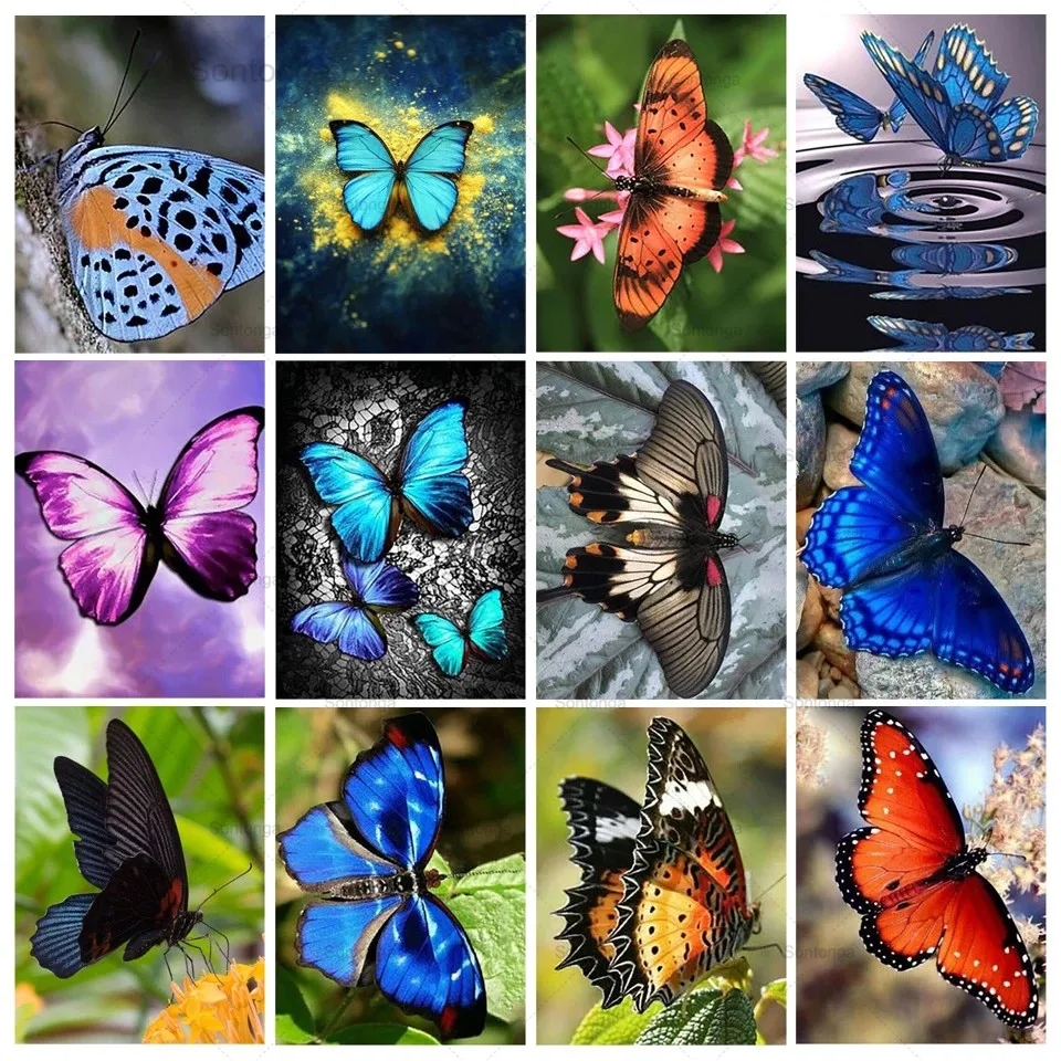 

Diy 5D Diamond Painting Animal Butterfly Diamond Embroidery Diamond Mosaic Full Rhinestone Picture Needlework Home Decoration