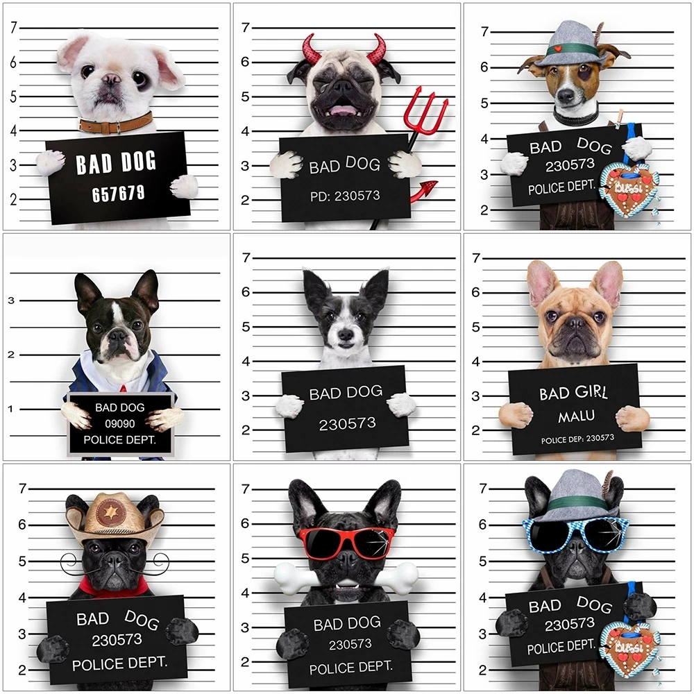 

Картина 5D «сделай сам», бриллиантовая вышивка стразы, животное, вышивка крестиком, картина, полноразмерный подарок ручной работы