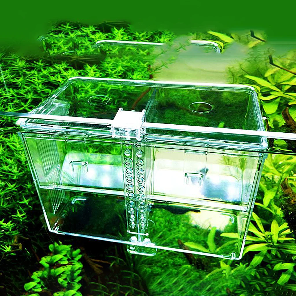 

Clear Aquarium Fishes/Shrimp -On Breeder/Breeding Box Hatchery Incubator