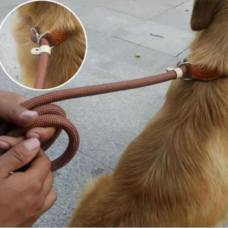 

Dog Leash Slip Rope Lead Leash Heavy Duty Braided Rope Pet Anti Lost Nylon Adjustable Dog Collar Safety Pets Items Accessories B