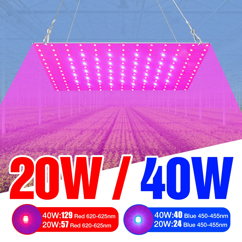 

20W 40W Grow Light LED Full Spectrum Phyto Lamp For Plants 220V Indoor Seed Lamp Greenhouse Hydroponic Fitolampy Growth Lighting