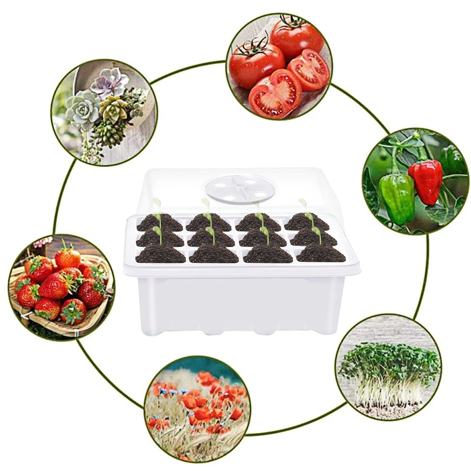 12 ячеек Пластик горшки для рассады посадки семян набор лотков клетки семенной