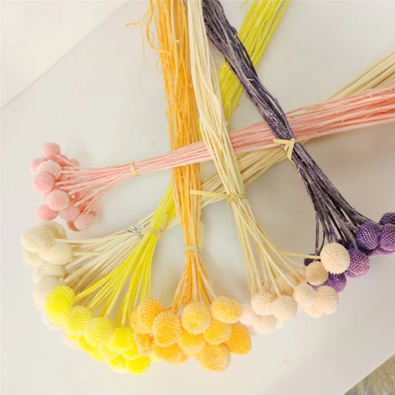 

Natural Gold Ball Eternal Flower Home Decoration Accessories Wedding Christmas Party Easter Real Plant Fleurs Sechees