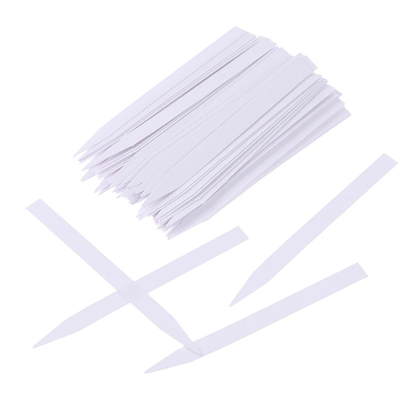 

100Pcs 100*8mm Aromatherapy Fragrance Perfume Essential Oils Test Paper Strips