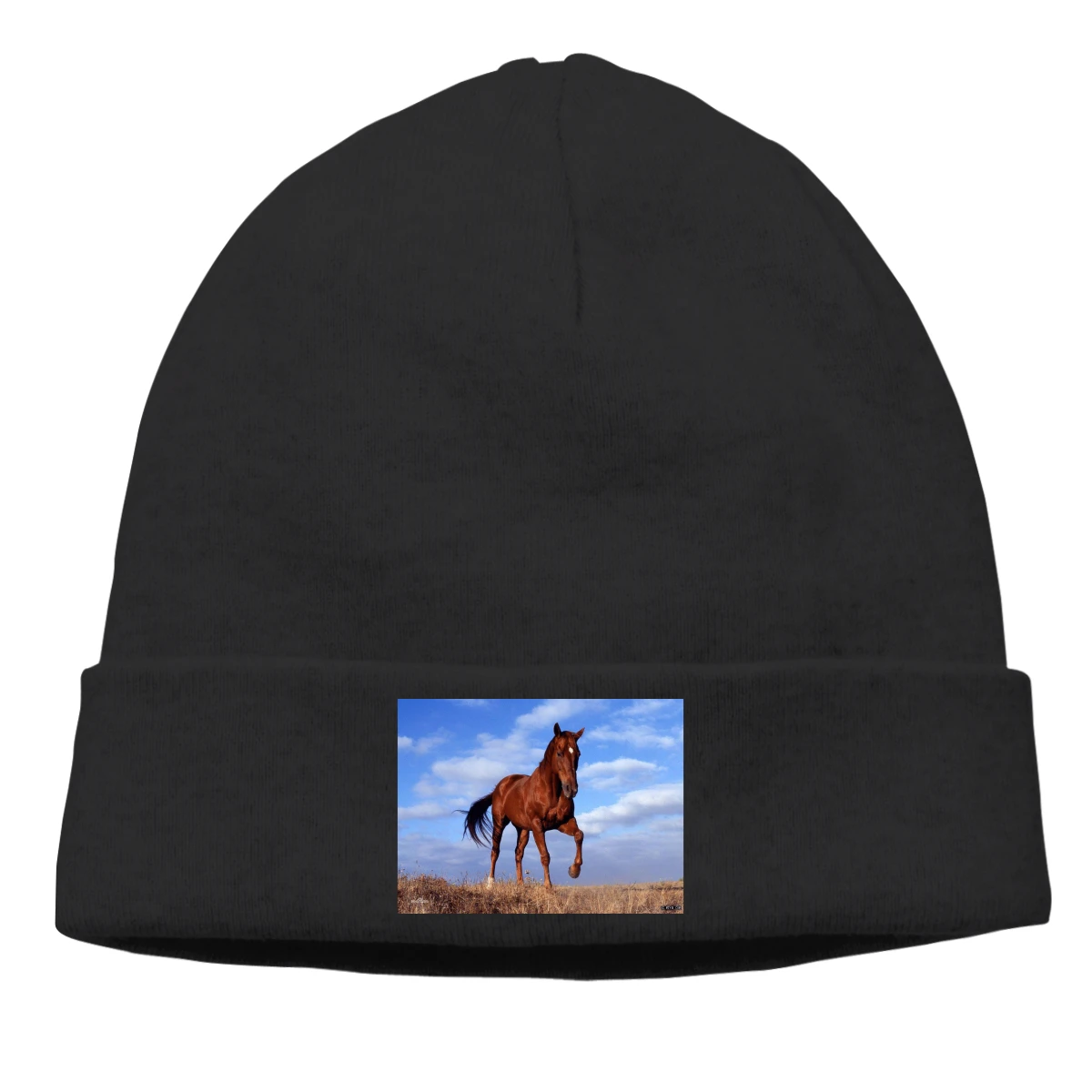 

Horse Mr woman cycling hat print personalized patterns hat