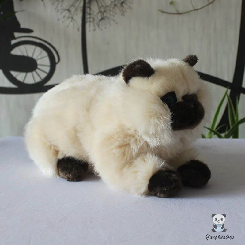 

Супермягкая плюшевая модель персидской кошки, детская игрушка, подушка, куклы для девочек, подарки на день рождения