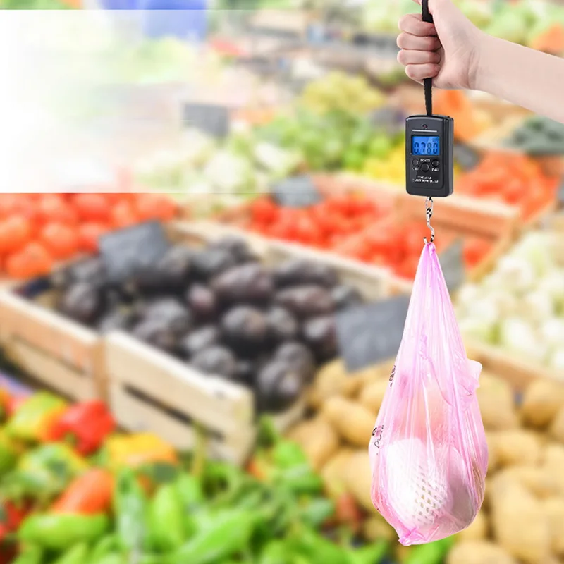 

DIDIHOU 40kg x 10g Mini Digital Scale For Fishing Luggage Travel Weighting Steelyard Portable Electronic Hanging Hook Scale