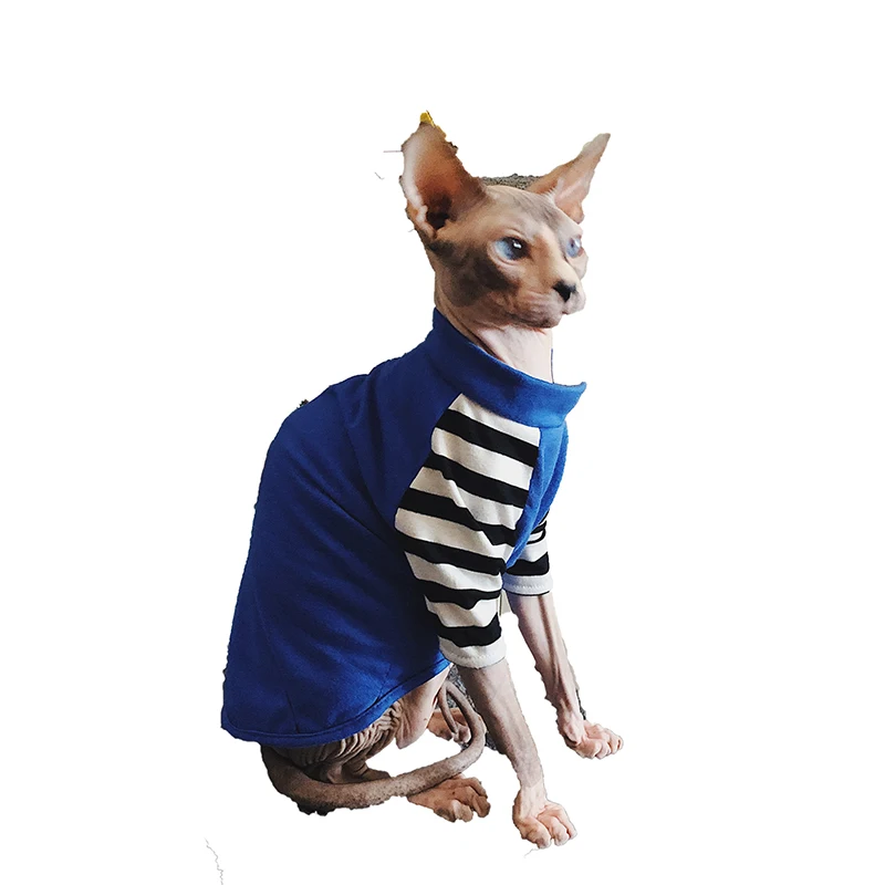 Одежда для сфинкса одежда кошек без волос женская фото чихуахуа йоркширского