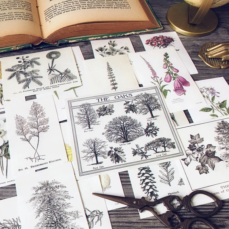 

KLJUYP 17pcs Flower plant Paper Stickers for Scrapbooking Happy Planner/Card Making/Journaling Project