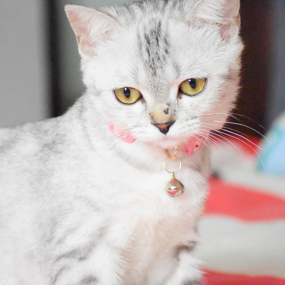 3 упаковки ошейник с колокольчиками прочный милый цветочный узор котенок