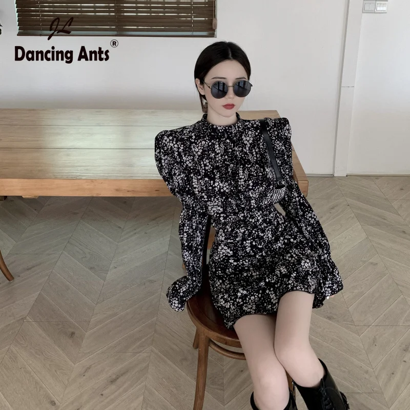 Винтажное платье-трапеция с принтом длинным рукавом-фонариком и высокой талией |