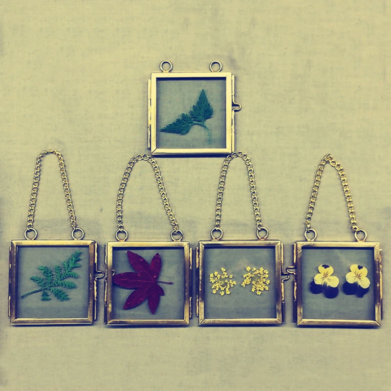 

Wall Hanging Vintage Shabby Chic Photo Frame Metal Plant Specimen Clip Tool