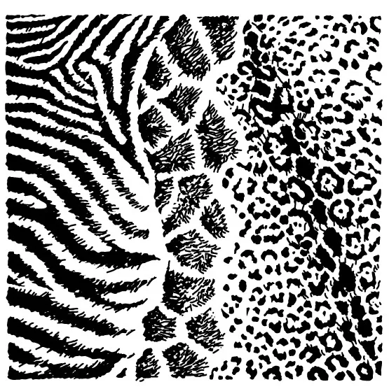 Прозрачный фон для скрапбукинга своими руками/изготовления карт/детских