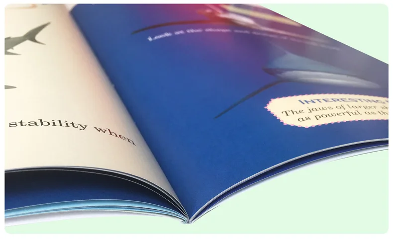 

20 books/Set Scholastic Who Would Win story books children Early Educaction English picture Stories reading Book