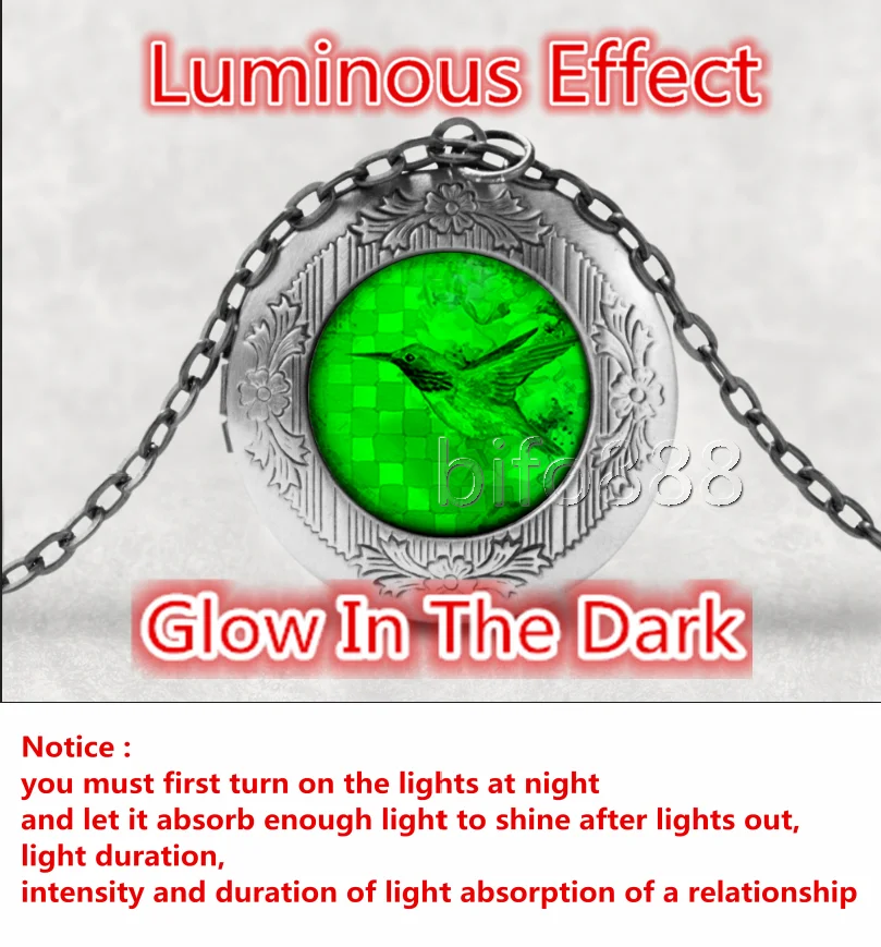 BIFOYOU Колибри кабошон стекло ароматерапия фото медальон ожерелье Духи Подвеска