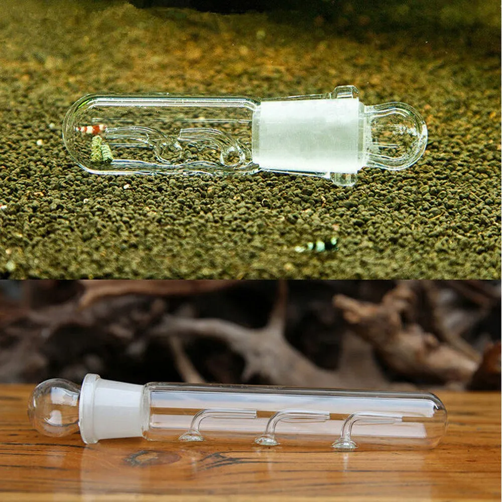 Улитка Planarian пиявка Vivarium ловушка для борьбы с вредителями Стекло поймать ручка
