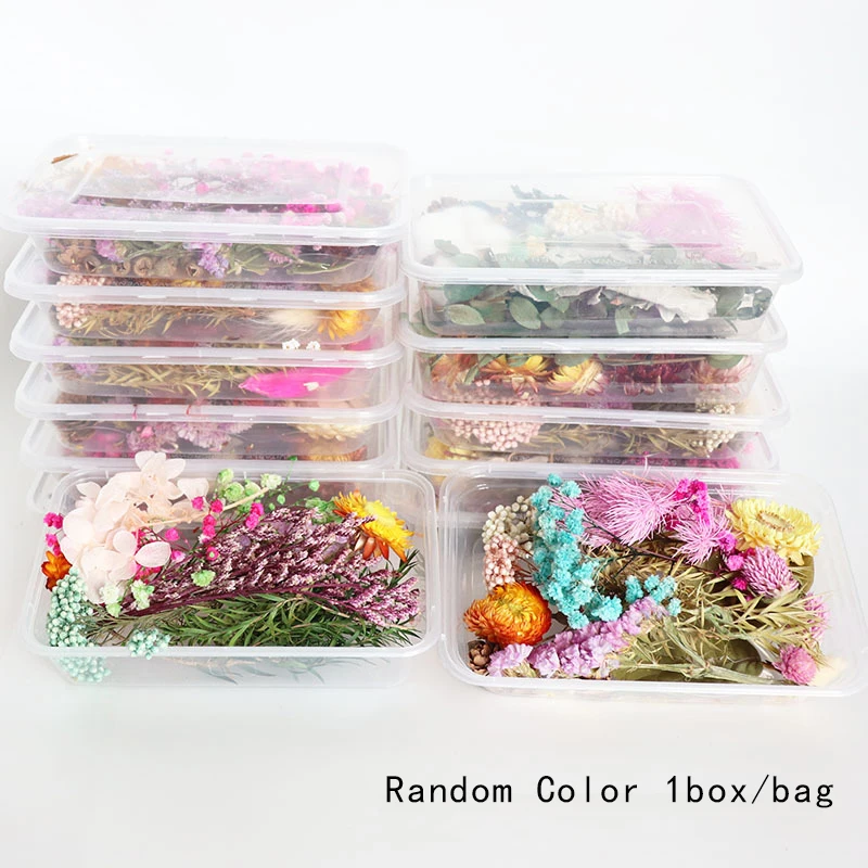 

1 Box Random Real Dried Flower Resin Mold Fillings UV Expoxy Flower For Epoxy Resin Molds Jewelry Making Craft DIY Accessories