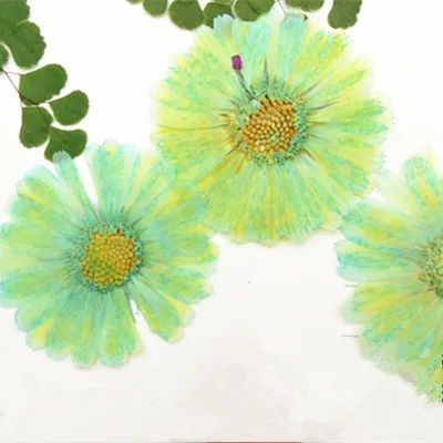 12pcs Natural Pressed Flowers rose Real Dried Calendula DIY Art Craft Valentines gift Bookmark Decoration Scented candle decor | Дом и сад