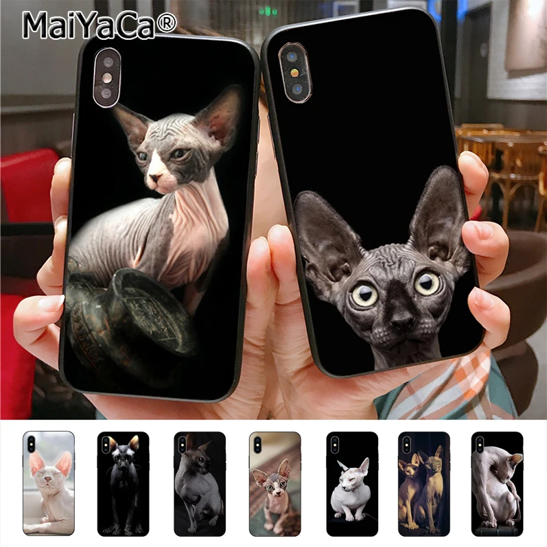 

sphynx cat Unique Silicon phone case for iphone 11 12 Pro 6S 6plus 7 7plus 8 8Plus X 5 5S case cover 12mini