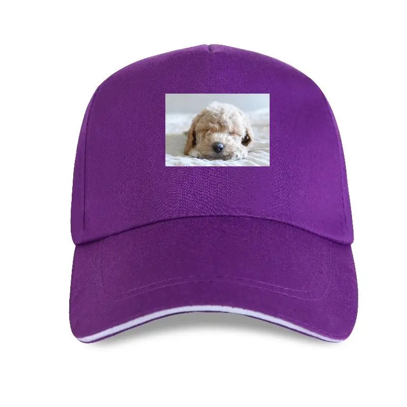 

New Labradoodle Goldendoodle Baseball cap Graphic Tops