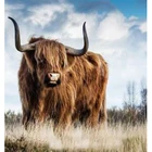 5D алмазная живопись сделай сам, квадратнаякруглая алмазная живопись животных, пейзаж пастбища яка, картина для вышивки крестиком, украшение, художественная работа TX677