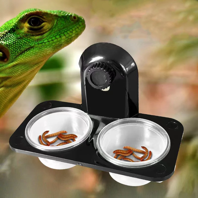 

1Pcs Reptiles Terrarium Insect Spider Chameleon Snake Gecko Food Water Feeding Bowl Breeding Feeders Box Pets Supplies