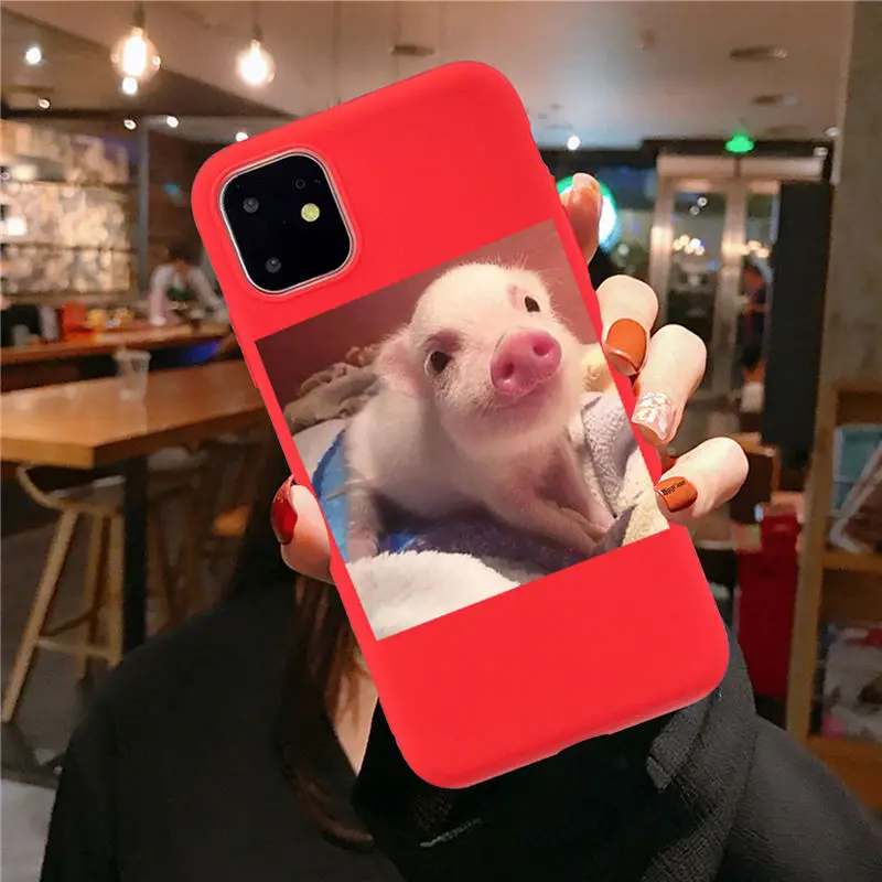 red TPU F3183 Забавный чехол для телефона с рисунком поросенка для iphone 11 Pro XS MaxX XR чехол для iphone 6 S 5 5S 7 8 plus Мягкий чехол милые Чехлы для пар - Цвет: red TPU F3183