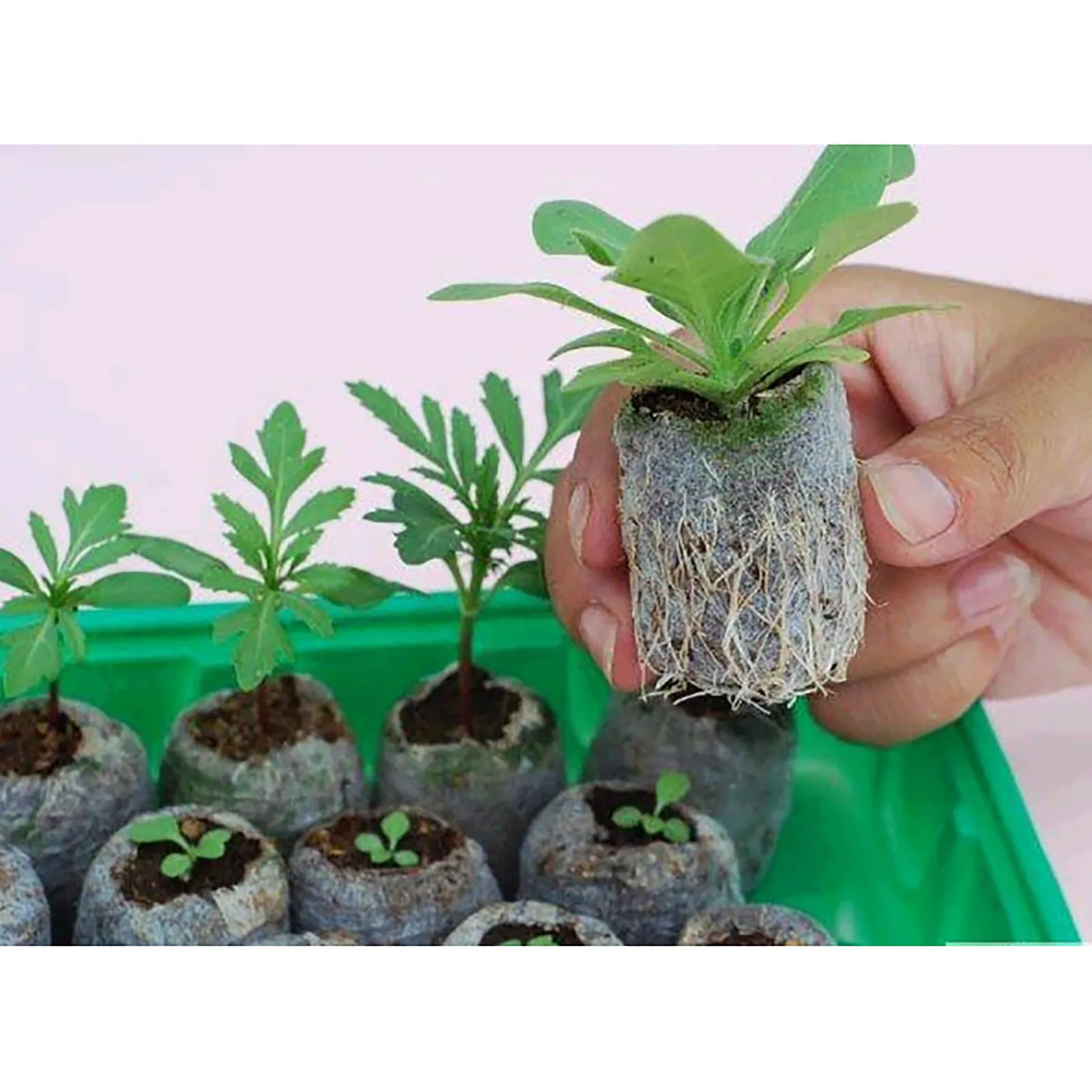 Блок питательной почвы 30 мм торфяные гранулы для зерна пусковые заглушки