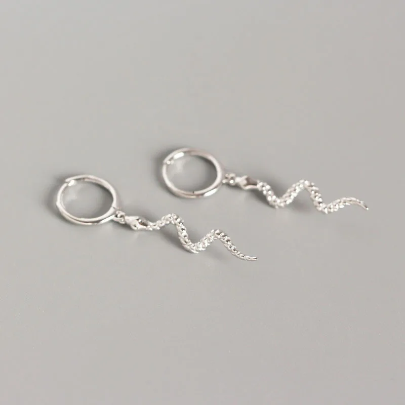 

Snake Hoop Earrings For Women High Quality Gold Silver Color Animal Hoops With Long Charms Female Jewelry Gift