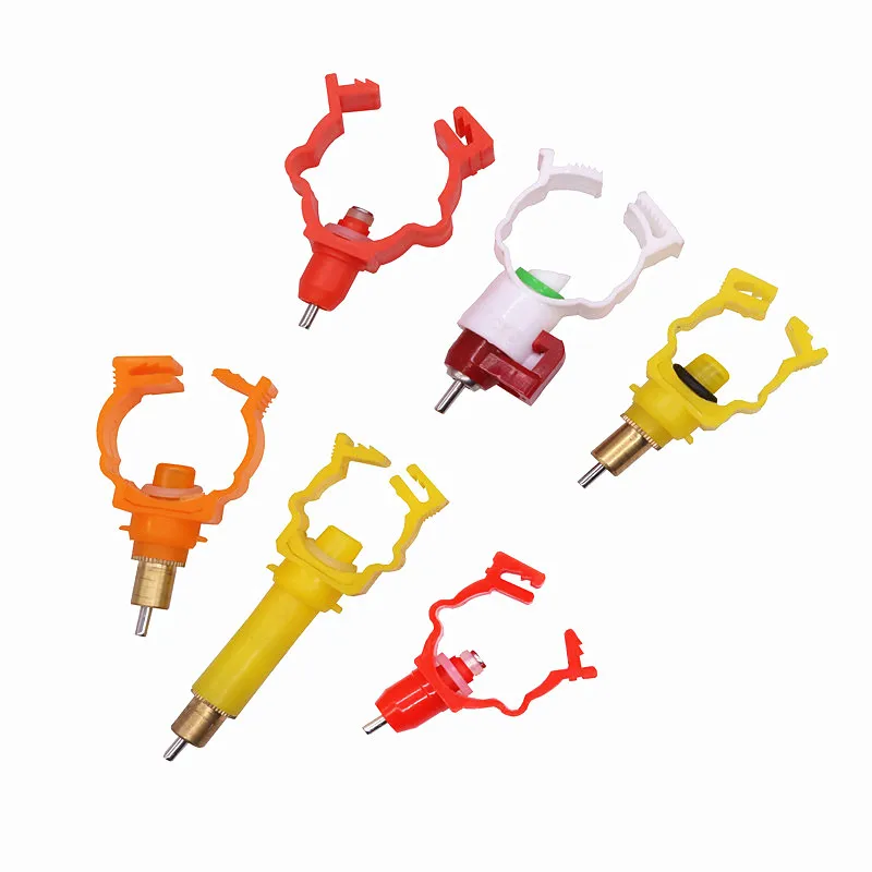 2 предмета домашней птицы животноводство Кормовые принадлежности оптовая