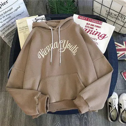 brown02 Бархатное Спортивное Женское пальто в Корейском стиле Харадзюку, свободная толстовка с капюшоном в готическом стиле, женские зимние толстовки с капюшоном, Прямая поставка, принт kpop - Цвет: brown02
