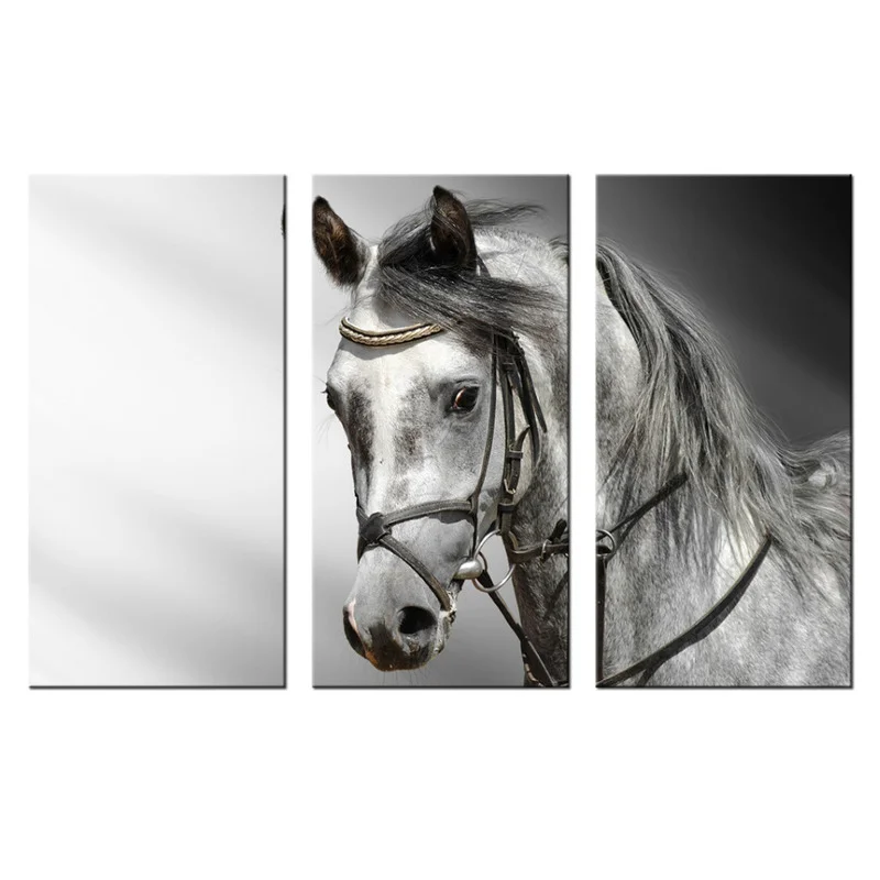 

Canvas Poster Animal Wall Art White Horse Posters and Prints Wall Pictures for Living Room Decoration Black and White Home Decor