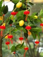 knot products flocking small lanterns hanging red outdoor indoor tree bonsai decoration scene layout