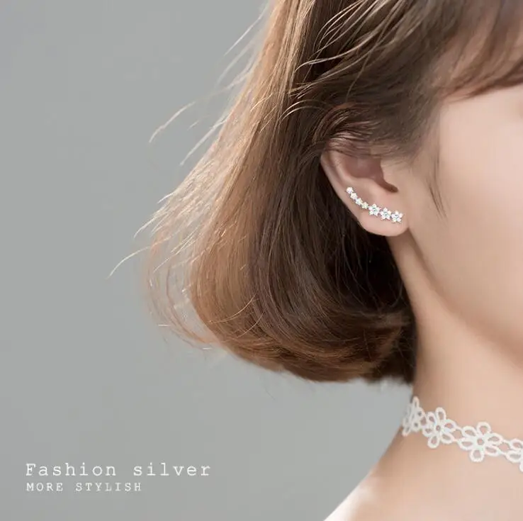 

Серебряные серьги-гвоздики 100% Φ серебряные серьги с кубическим цирконием