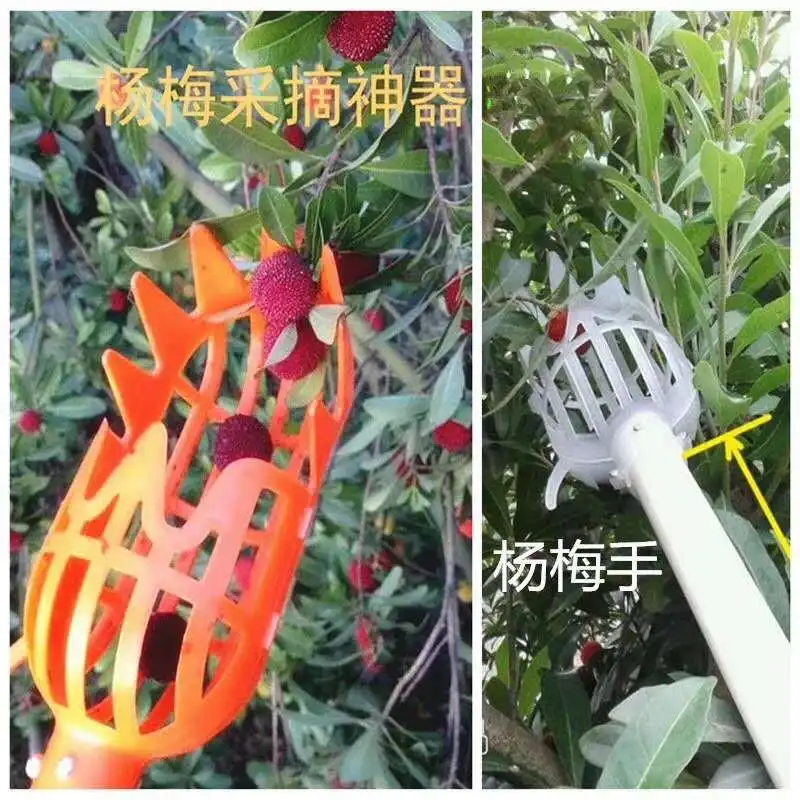 1 шт. пластиковый щиток для сбора фруктов без шеста|Инструменты обрезки| |