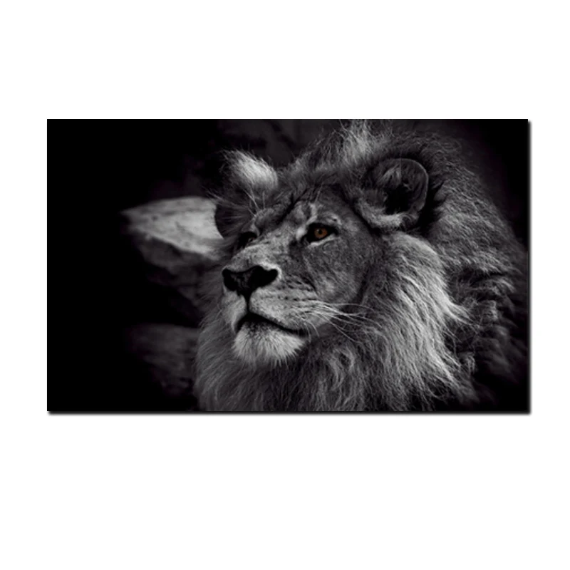 Lion Black And White Большой размер, черный и белый лев, живопись, печать на холсте, плакат, настенные картины для гостиной, Современное украшение, картины с животными - Цвет: Lion Black And White