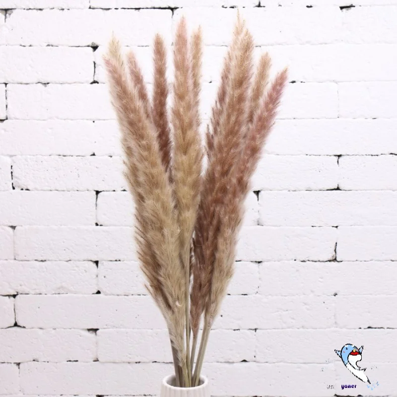 

Real Wheat Ear Flower Decoration Natural Pampas Rabbit Tail Grass Dried Flowers For Wedding Party DIY Craft Scrapbook Bouquet