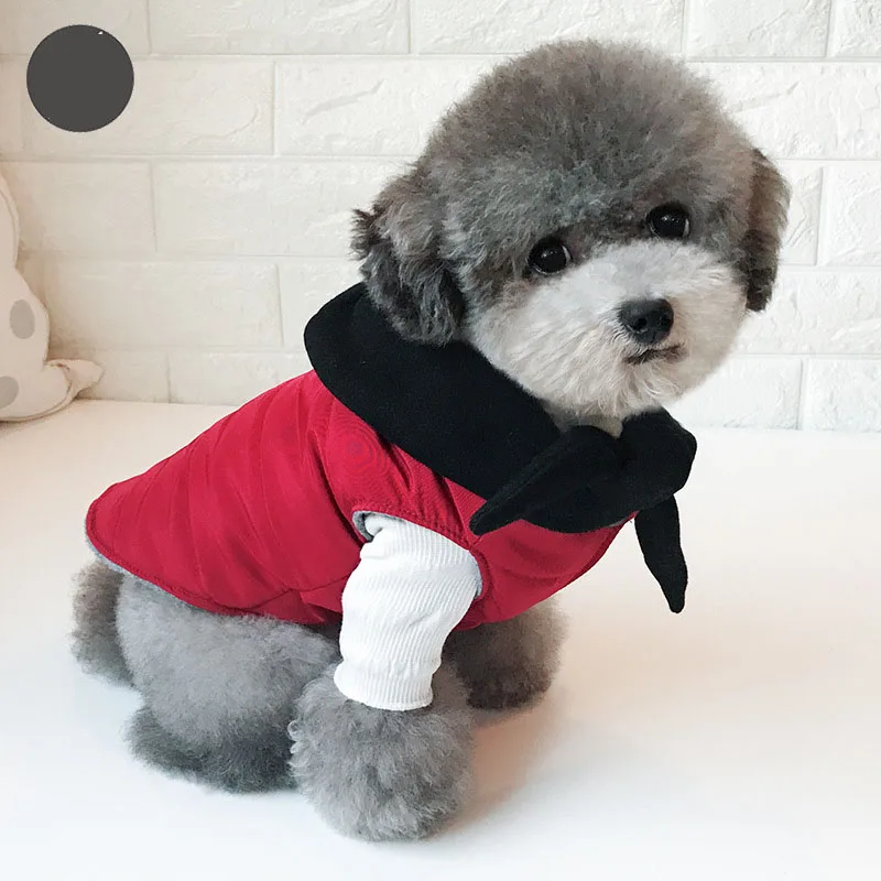 Зимняя бархатная одежда для маленьких собак пальто щенка красный синий желтый