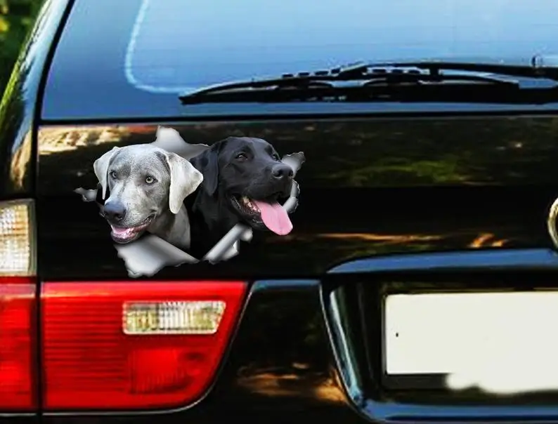 

2021 Black and silver Labs car decal, lab decal, Labrador sticker, pet decal