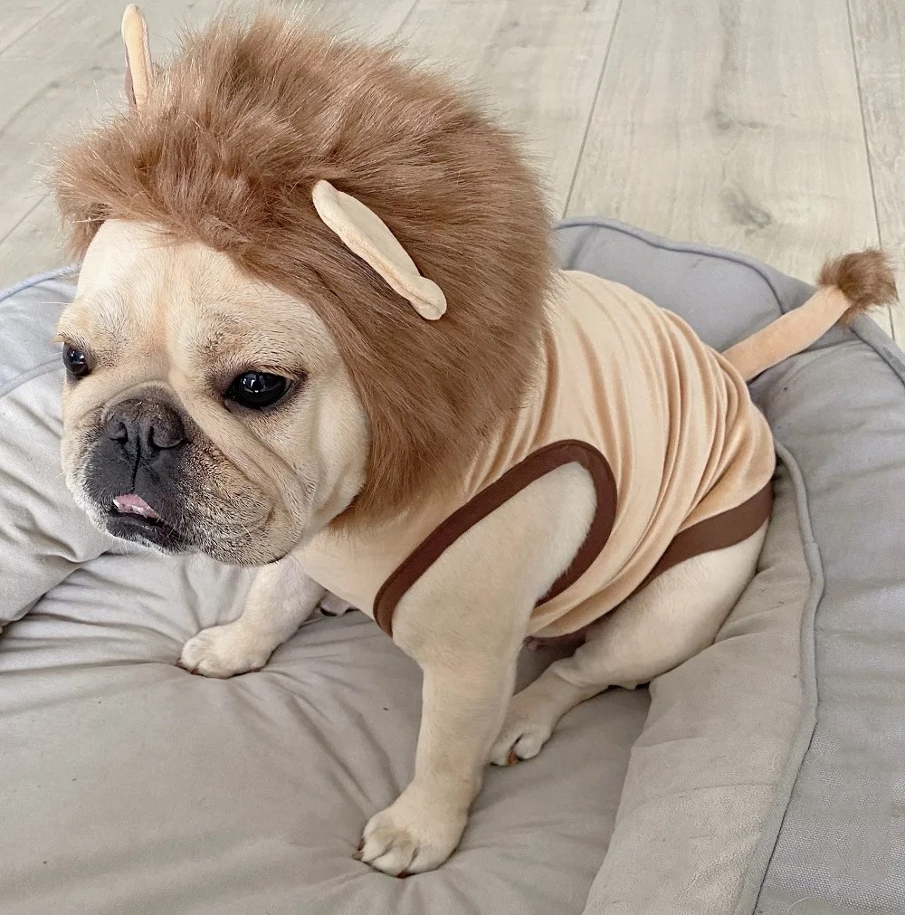 

Cute Pet Dog Hoodie Clothes for French Bulldog Cosplay Lion Dog Cat Costume Fashion Puppy Winter Warm Dog Clothes for Small Dogs